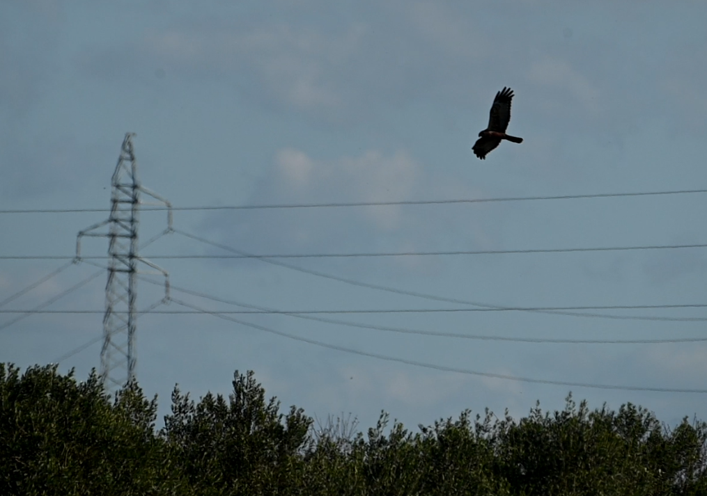 Un refugio para la vida